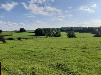 Tour Wandern Cousolre - Le canari 04 09 21 - Photo