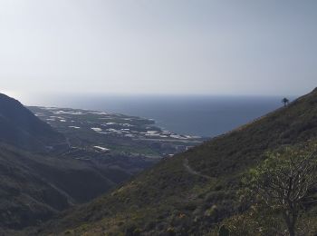 Tour Wandern Tegueste - Cruz del Carmen - Bajamar PR-TF12 - Photo