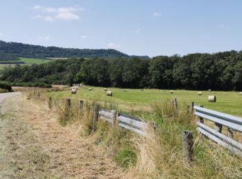 Tocht Elektrische fiets Tonnoy - Tonnoy-Sion - Photo