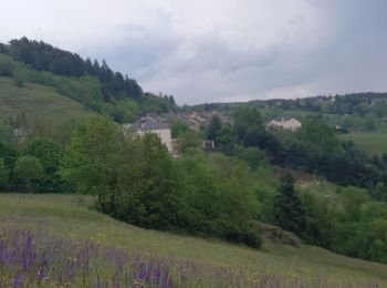 Trail Walking Bédouès-Cocurès - Stevenson Bedouès Barre des Cévennes  - Photo