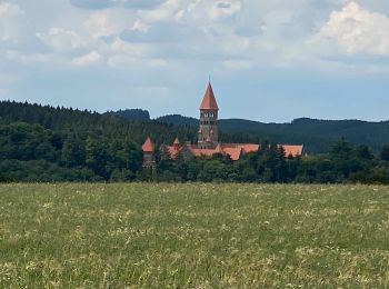 Tocht Stappen Kiischpelt - Escapardenne Eisleck Trail: Kautenbach - Clervaux - Photo