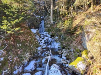 Trail Walking Lepuix - Saut de la Truite - cascade du Rummel - Etang du Petit-Haut - Ballon d'alsace - Photo