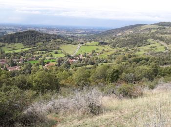 Excursión Senderismo Courmangoux - le mont Mions par la maison Piquet - Photo