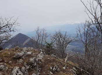 Tocht Stappen Le Gua - Un tour de L'Eperrimont par le sommet ! - Photo