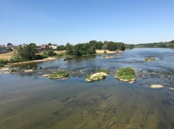 Tocht Mountainbike Saint-Jean-de-la-Ruelle - Orleans-Jargeau-Orleans-60km-3h40 - Photo