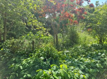 Trail Walking Fondamente - Séjour LARZAC 2025...RANDO 4..18/05/2025 - Photo
