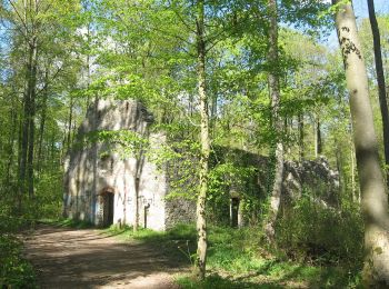 Excursión A pie Wolferstadt - Rundwanderweg Monheim 2 ? Bei Wolferstadt - Photo