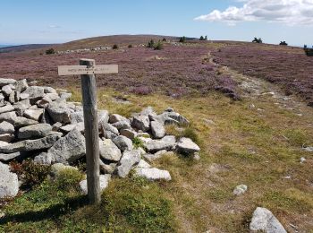 Tour Wandern Cubières - Mont Lozère  - Photo