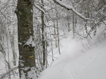 Trail Walking Crest-Voland - Crest voland 3 - Photo