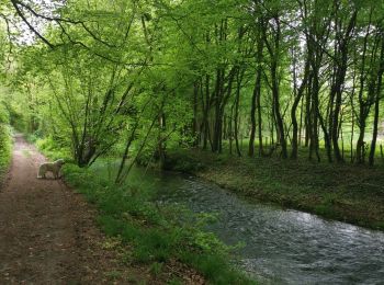 Randonnée Marche Saint-Pierre-Bénouville - st pierre benouville chemin des frenettes - Photo