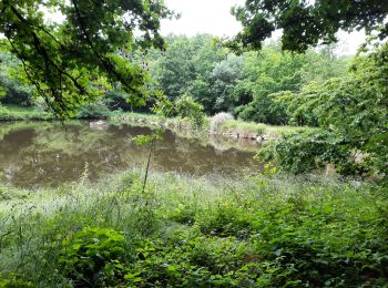 Trail Walking Le Châtellier - GR_37_AE_19_Chatellier_Fougeres_20210618 - Photo