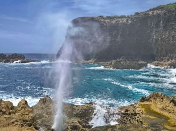 Trail Walking Anse-Bertrand - SityTrail - pointe du soufleur - Photo