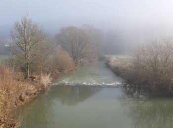 Randonnée Marche Harréville-les-Chanteurs - de HARÉVILLE- LES-CHANTEURS à SAINT-THIÉBAULT en longeant la Meuse - Photo