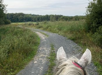 Trail Horseback riding Domèvre-sur-Vezouze - Equiplaine 22 septembre 24 - Photo