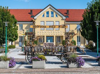 Percorso A piedi Ried im Traunkreis - Runnersfun Runde - Photo