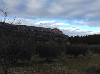 Tocht Stappen Mérindol - PF-Mérindol - Les Drailles Mérindolaises - Photo