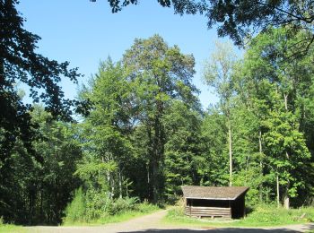 Tour Zu Fuß Saarbrücken - Ensheimer Brunnenweg - Photo