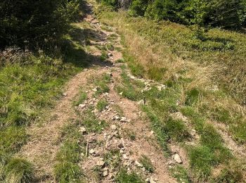 Trail Walking Le Valtin - Chalet Hôtel Le Collet  - Photo