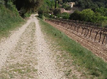 Tocht Stappen Vitrolles-en-Luberon - vitrolles en Lubéron. piegros depuis le village  - Photo