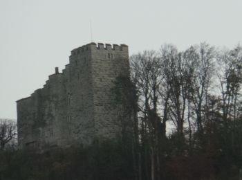 Percorso A piedi Habsburg - Schinznach Bad - Schloss Habsburg - Photo