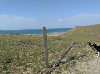 Percorso Marcia Sangatte - CAP BLANC NEZ - Photo