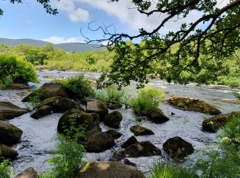 Trail Walking Kenmare Municipal District - Glencar - Glengeigh - Photo