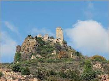 Tour Wandern Mérifons - Château de Malavieille - Photo