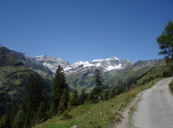 Trail On foot Pfäfers - Malanseralp - Brennboden - Photo