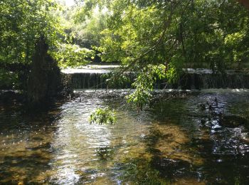 Trail Walking Chauray - 2019--08-07 Marche 13 km - st gelais, queray - Photo