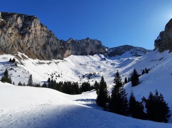 Trail Touring skiing Le Dévoluy - vallon froid bis - Photo