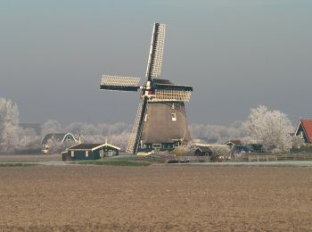 Excursión A pie Schagen - wandelroute Sint-Maarten - Valkkoog - Photo