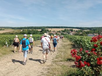 Randonnée Marche Bézu-le-Guéry - Bézu-le-Guéry du 12-07-2022 - Photo