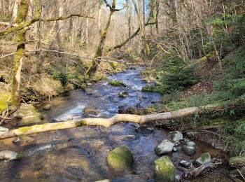 Excursión Senderismo Olloix - Olloix_Gorges-La-Monne_T - Photo