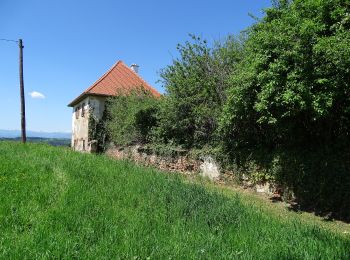 Trail On foot Hitzendorf - Schlösserweg - Photo