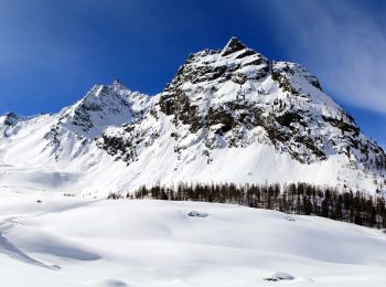 Randonnée A pied Valsavarenche - IT-8 - Photo
