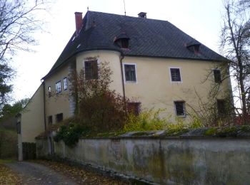 Tocht Te voet Eggendorf im Traunkreis - Naturlehrpfad - Photo