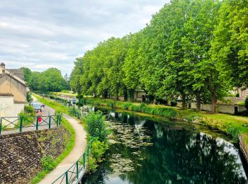 Trail Walking Château-Landon - Linéaire de Chateau Landon à Nemours - Photo