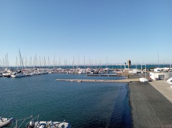 Excursión Senderismo Le Grau-du-Roi - Le Grau-du-Roi-Port Camargue (le 11-01-2022) - Photo