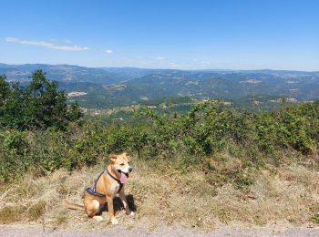 Tour Wandern Saint-Vincent-de-Durfort - croix de grua - Photo