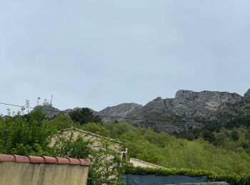 Randonnée Marche Revest-les-Roches - Revest les Roches - le Mont Vial - Photo