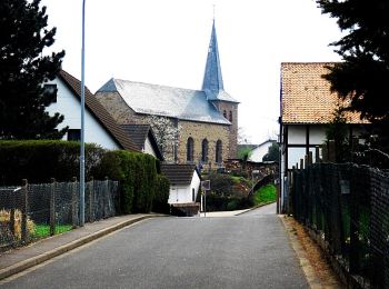 Tour Zu Fuß Zülpich - EifelSchleife Via Agrippa - Photo