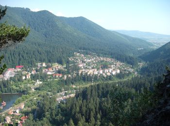 Tour Zu Fuß Unbekannt - oraș Băile Tușnad - Pilișca Mare - Photo