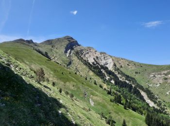 Percorso Marcia Lus-la-Croix-Haute - Antécime de La Toussière - Photo