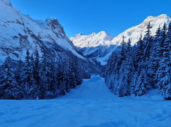 Percorso Racchette da neve Pralognan-la-Vanoise - Fontanettes en boucle  - Photo