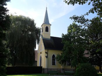 Tour Zu Fuß Gemeinde Natschbach-Loipersbach - Rundwanderwege Natschbach - Loipersbach - Lindgrub NL1 - Photo