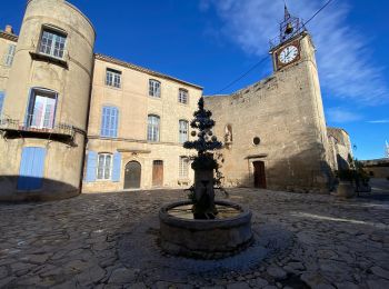 Excursión Bici de montaña La Bastide-des-Jourdans - Grand bois - Photo