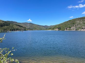 Excursión Senderismo Villefort - Tour du lac de Villefort - Photo