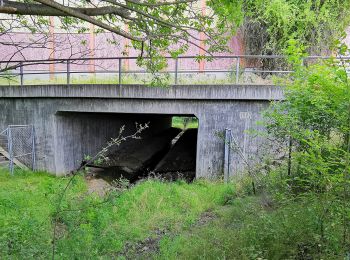 Excursión A pie Lichtenberg - Gelber Strich 