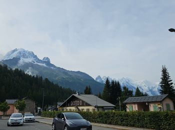 Randonnée Marche Chamonix-Mont-Blanc - J11 - R9 - Montroc - Le Tour - Petit Balcon Nord  - Photo