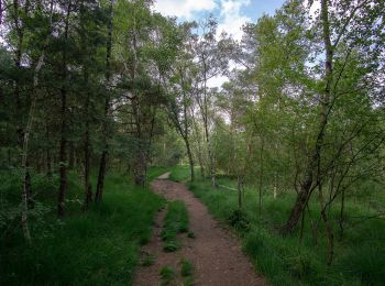 Tocht Te voet Senden - Venne Rundweg A9 - Photo